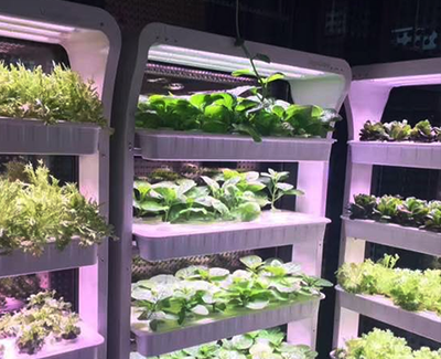 智慧农业培育系统